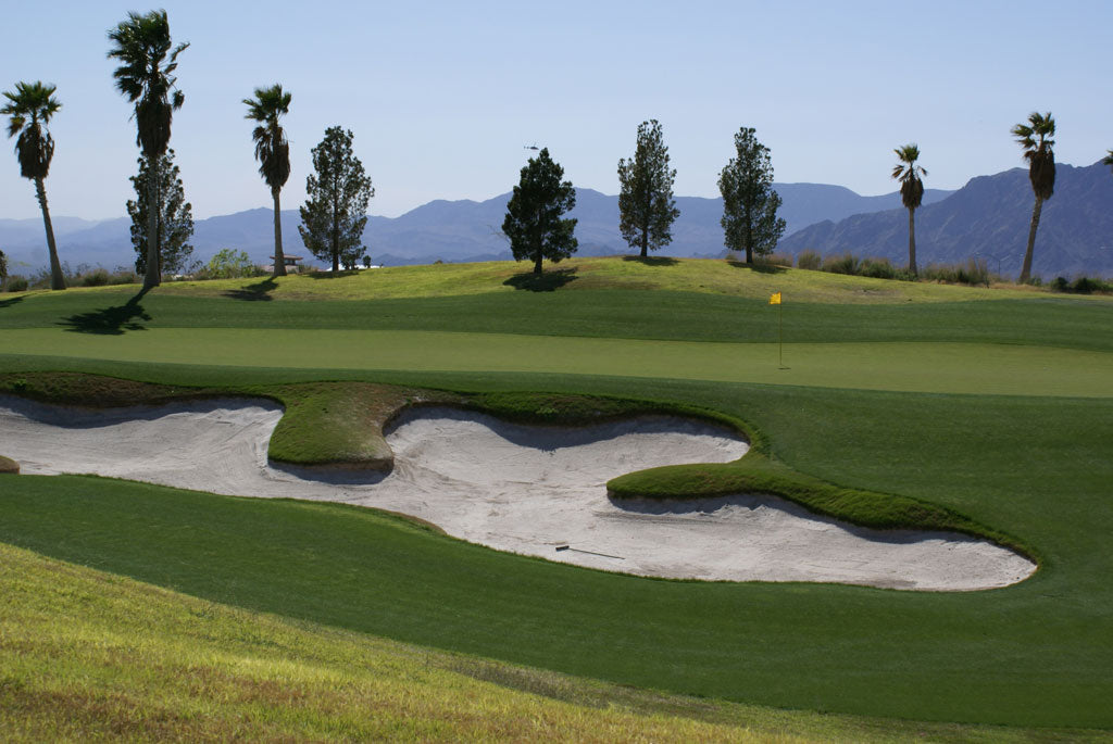 Vegas Golf Bundle 2025