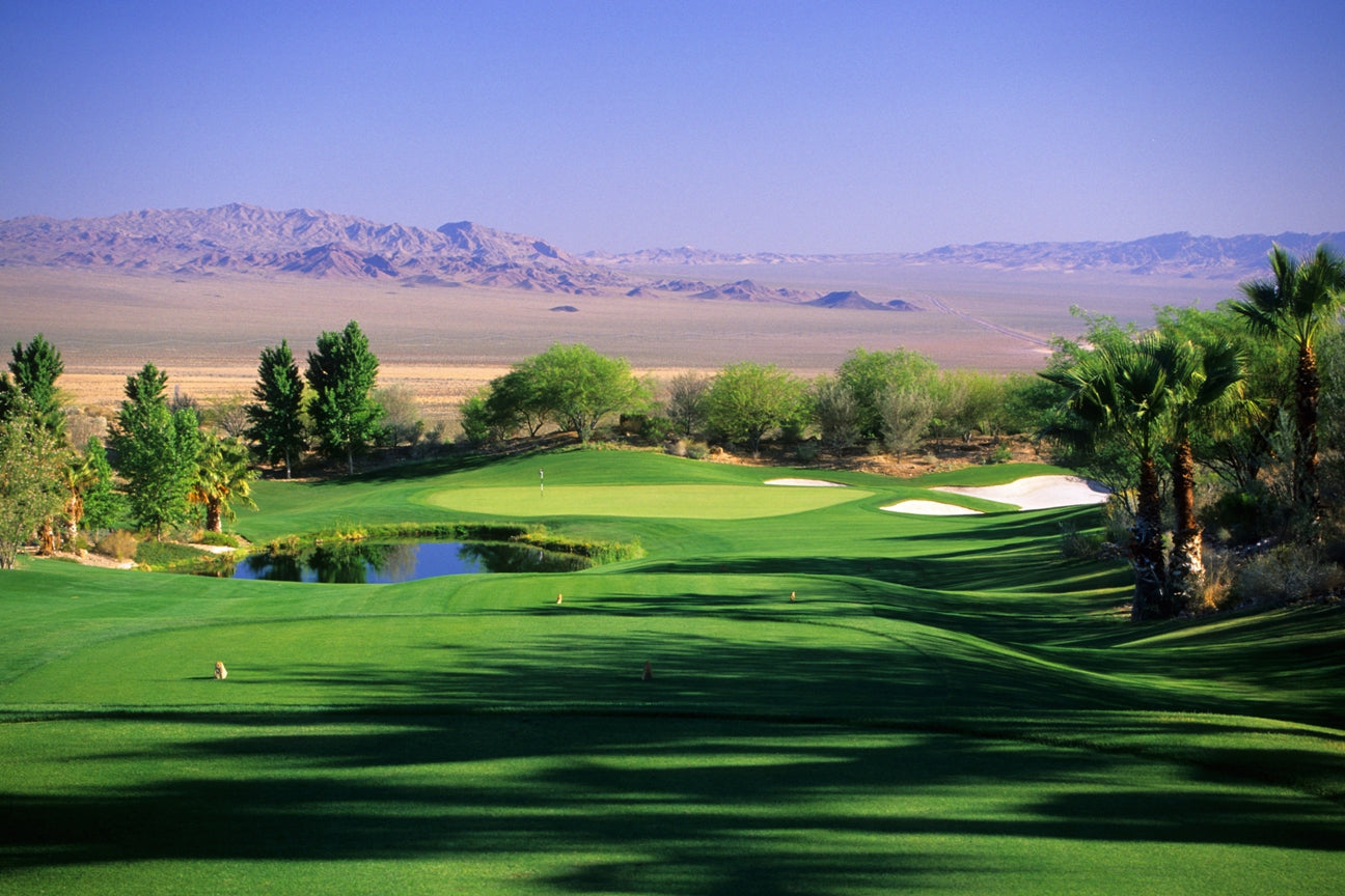 Ultimate Holiday Golf Gift 2024