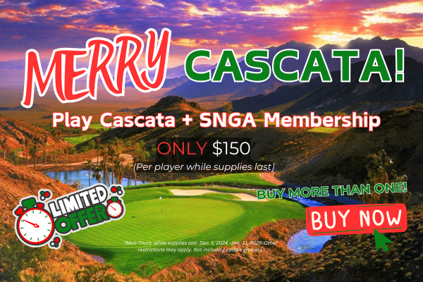 Ultimate Holiday Golf Gift 2024